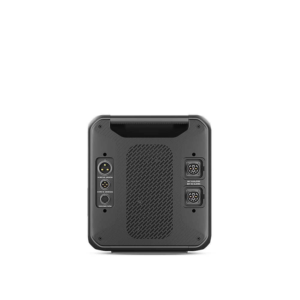 Home Battery Backup 2×AC300 + 2×B300 + 1×P030A