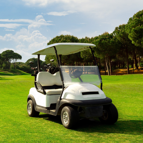 Golf Carts Batteries
